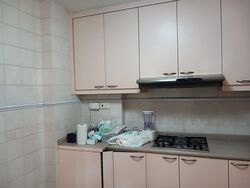 Dover Parkview (D5), Condominium #584508491